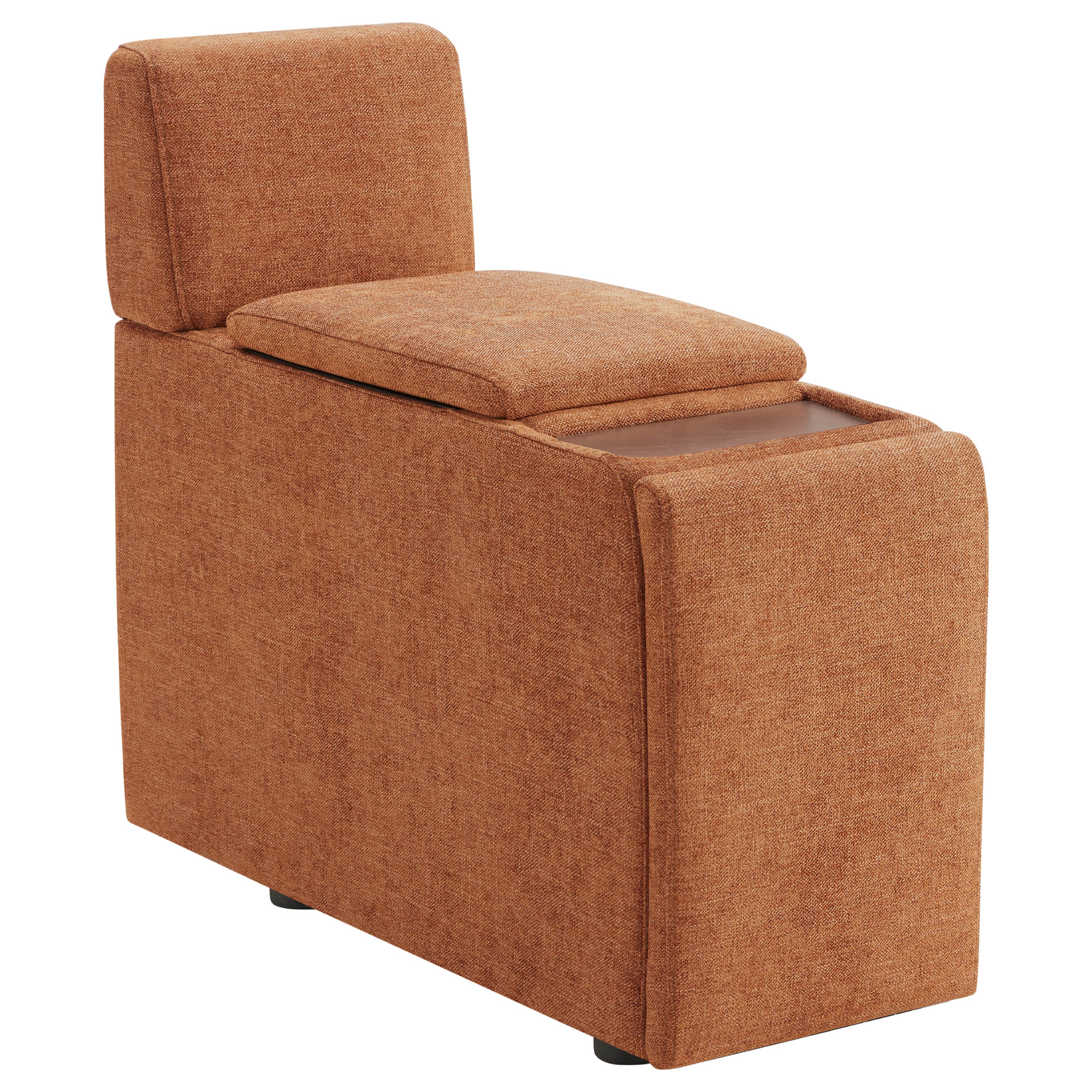 Delaney Power Functional Storage Console - Image 20